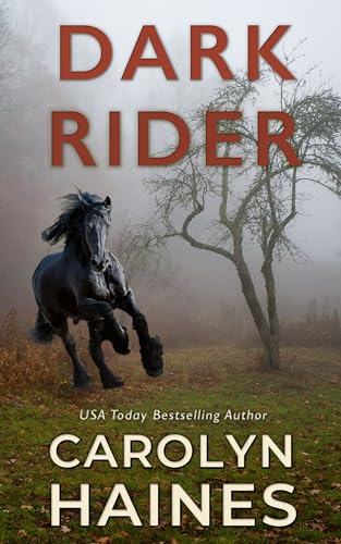 Dark Rider book cover