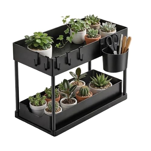 Lifelong 2 Tier Plant Stand Indoor with Storage Tray and Hooks, Black Metal Plant Shelf for Small Potted Plants, Tabletop Organizer Rack for Home Kitc