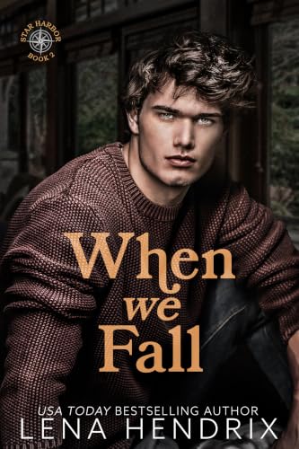 When We Fall book cover