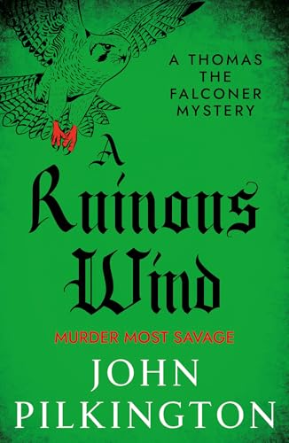 A Ruinous Wind book cover