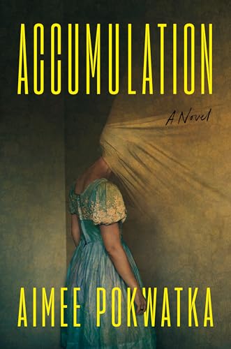 Accumulation book cover