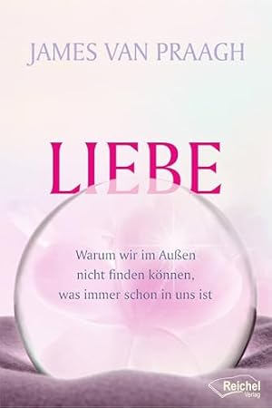 Die Liebe und ihr Preis: Warum wir lieben, was wir lieben, und was das für unser Leben bedeutet Rainer Maria Rilke