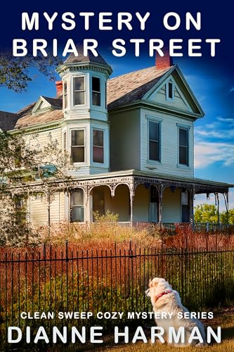 Mystery on Briar Street book cover