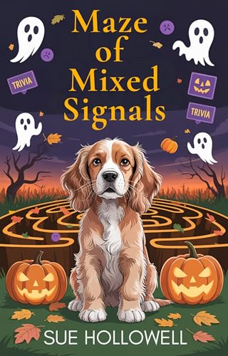 Maze of Mixed Signals book cover