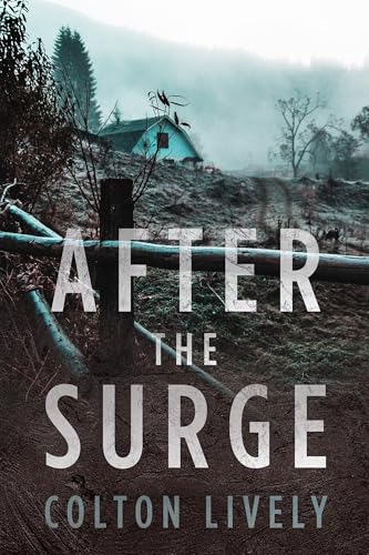 After the Surge book cover
