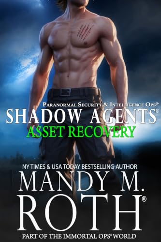 Asset Recovery book cover