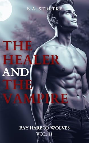 The Healer and The Vampire book cover
