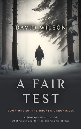 A Fair Test book cover