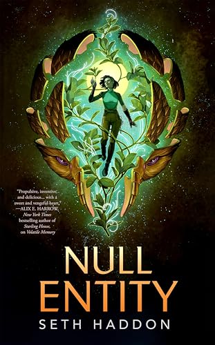 Null Entity book cover