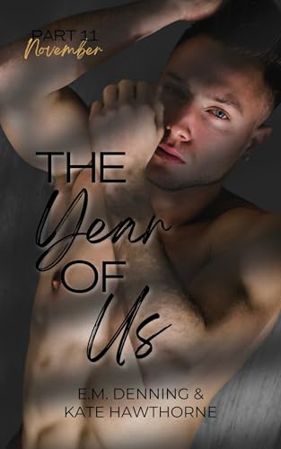 November book cover