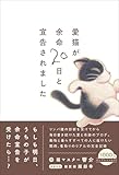 愛猫が余命20日と宣告されました