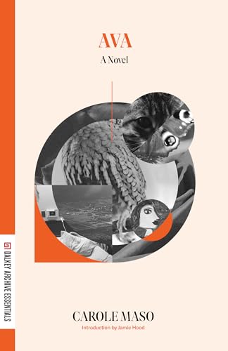 AVA book cover