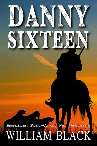 Danny Sixteen book cover