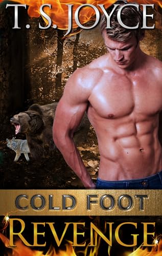 Cold Foot Revenge book cover