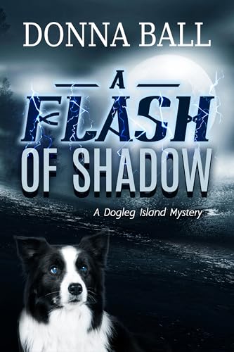 A Flash of Shadow book cover
