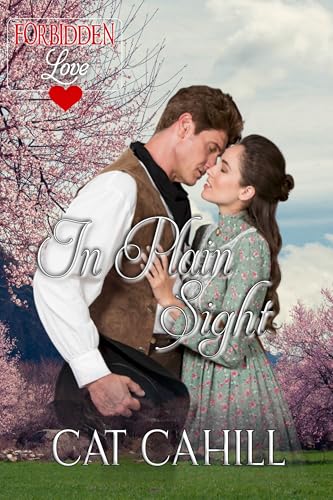 In Plain Sight book cover