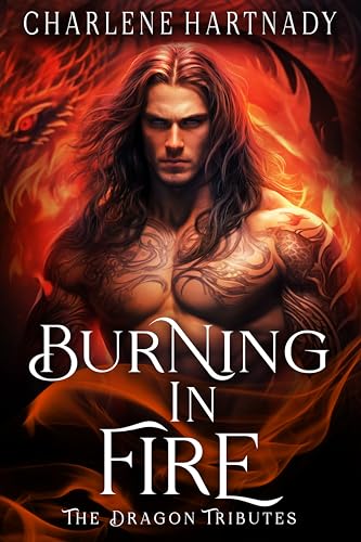 Burning in Fire book cover