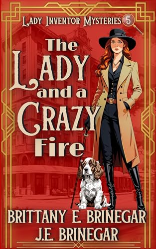 The Lady and a Crazy Fire book cover