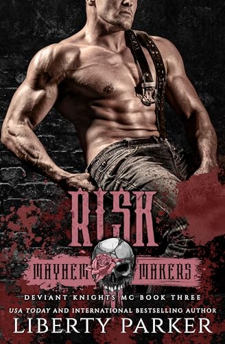 Risk book cover