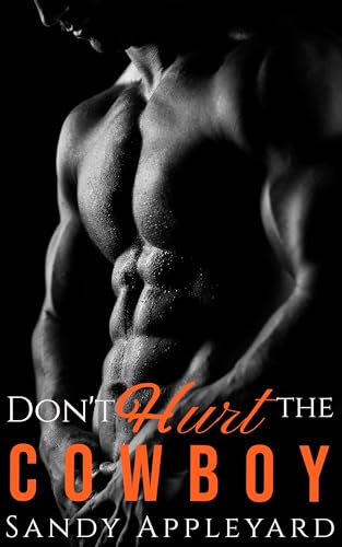 Don't Hurt the Cowboy book cover