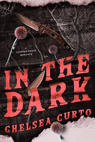 In The Dark book cover