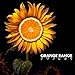 トワノヒカリ (完全生産限定盤) - ORANGE RANGE (メガジャケ付)