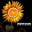 トワノヒカリ (完全生産限定盤) - ORANGE RANGE (メガジャケ付)