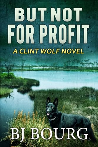 But Not For Profit book cover