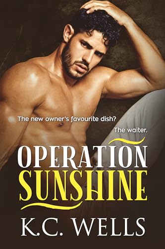 Operation Sunshine book cover