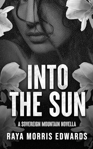 Into the Sun cover