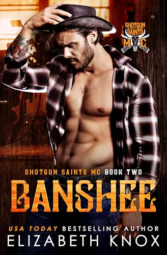Banshee book cover