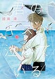 ＜君のキスが泣いている（１） (ゲッサン少年サンデーコミックス)＞