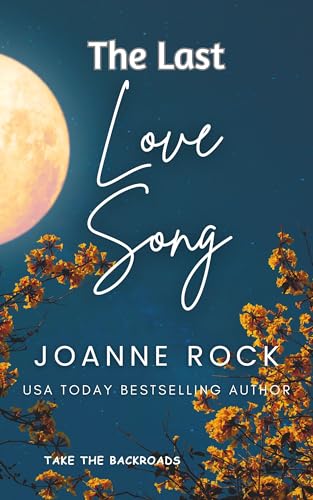 The Last Love Song book cover