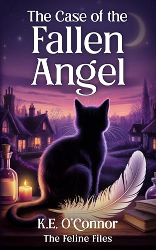 The Case of the Fallen Angel cover