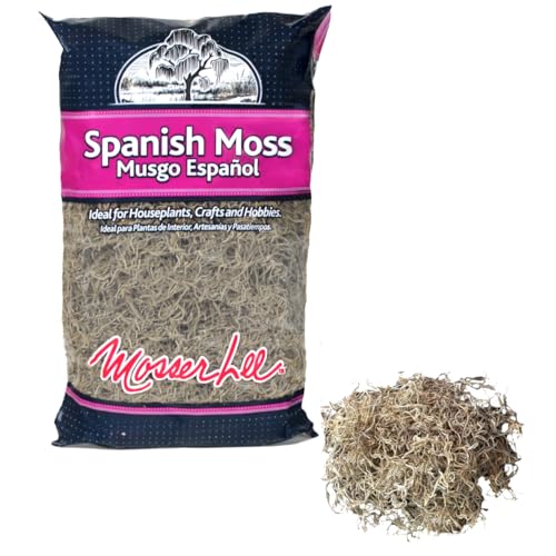 Mosser Lee Spanish Moss – Natural Decorative Moss for Houseplants, Soil Cover, Crafts, Terrariums & Floral Arrangements - 400 Cubic Inches