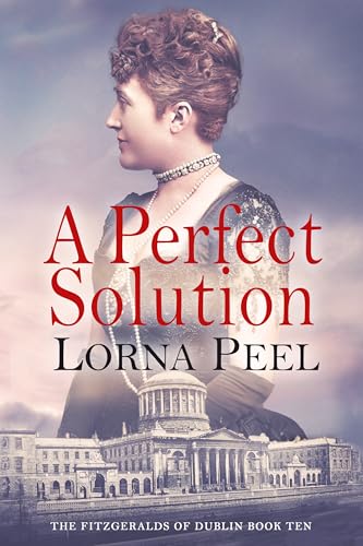 A Perfect Solution book cover