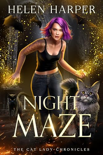 Night Maze book cover