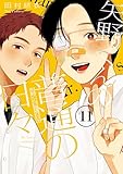 矢野くんの普通の日々（１１） (コミックＤＡＹＳコミックス)