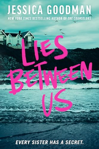 Lies Between Us book cover