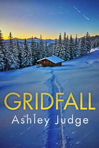Gridfall (By: Ashley Judge) cover