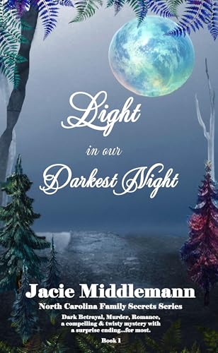 Light in Our Darkest Night cover