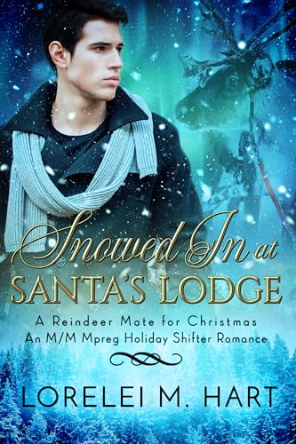 Snowed in at Santa's Lodge book cover