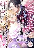 シゴデキ夫は今宵も新妻を離さない！　最強魔術師のエンドレス絶倫溺愛 (e-ティアラ)