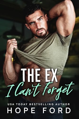 The Ex I Can't Forget book cover