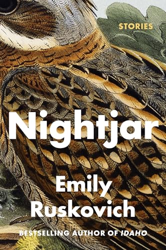 Nightjar book cover