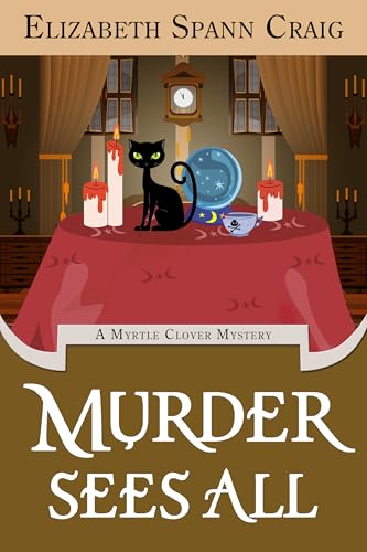 Murder Sees All book cover
