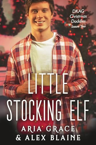 Little Stocking Elf book cover