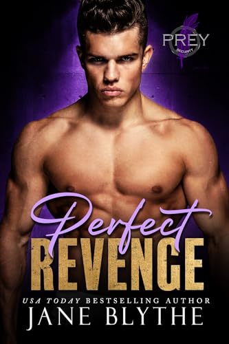 Perfect Revenge book cover