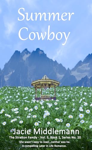 Summer Cowboy - Book 1 book cover