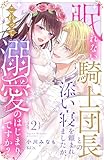 ＜眠れない騎士団長との添い寝を頼まれましたが、これって溺愛のはじまりですか？（２） (異世界ヒロインファンタジー)＞